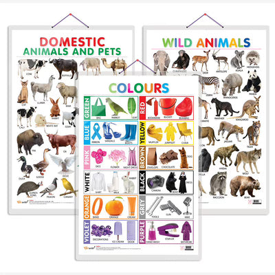 Domestic Animals and Pets, Wild Animals and Colours Early Learning Educational Charts - Set of 3