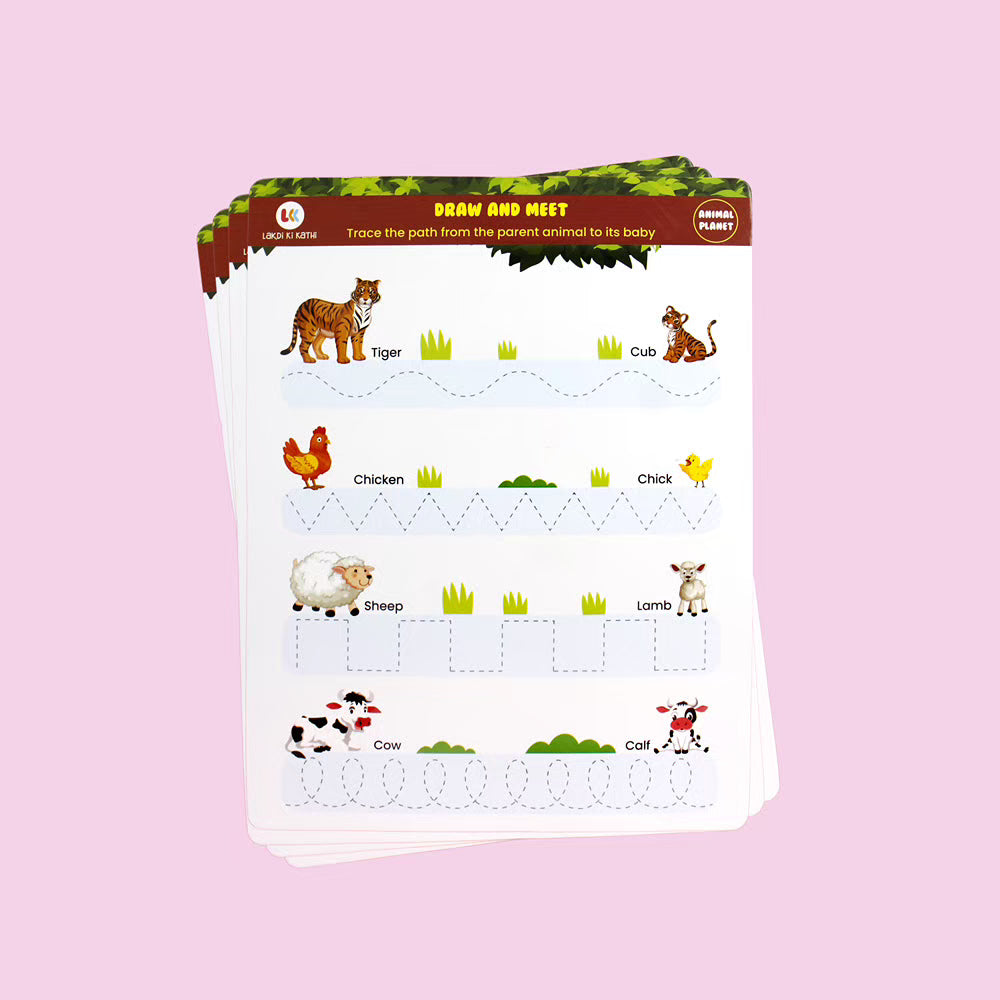 Reusable Animal Planet Cards (junior 2-4 years)