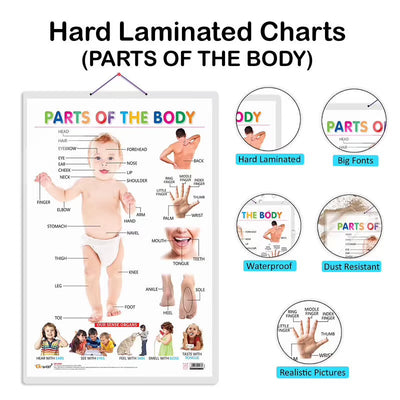 Wild Animals, Birds and Parts of the Body Early Learning Educational Charts - Set of 3