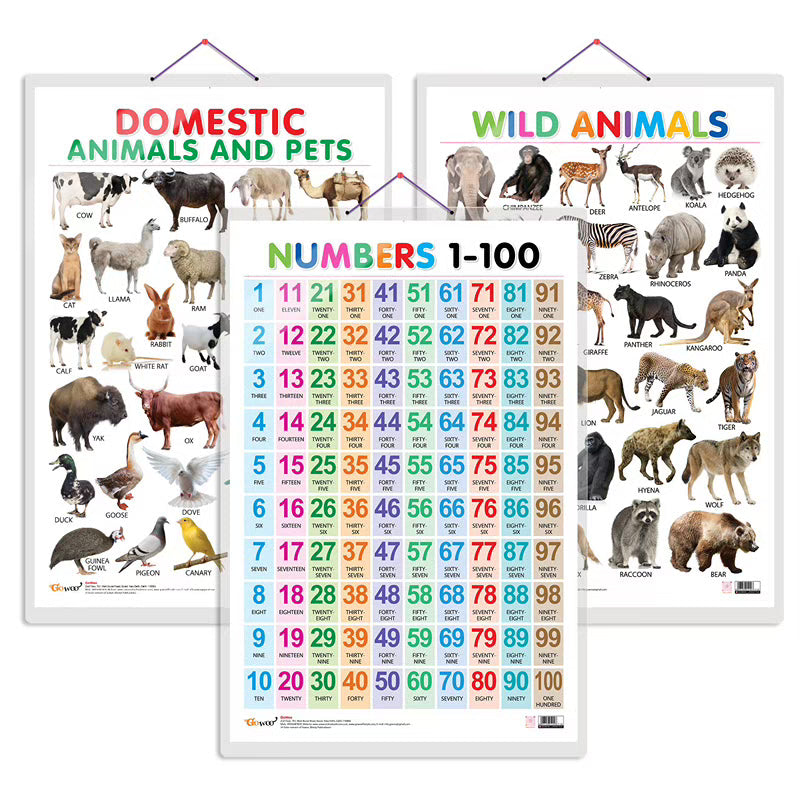 Domestic Animals and Pets, Wild Animals and Numbers 1-100 Early Learning Educational Charts - Set of 3