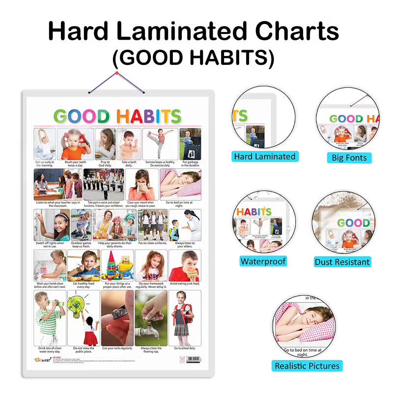 Birds, Flowers and Good Habits Early Learning Educational Charts -  Set of 3