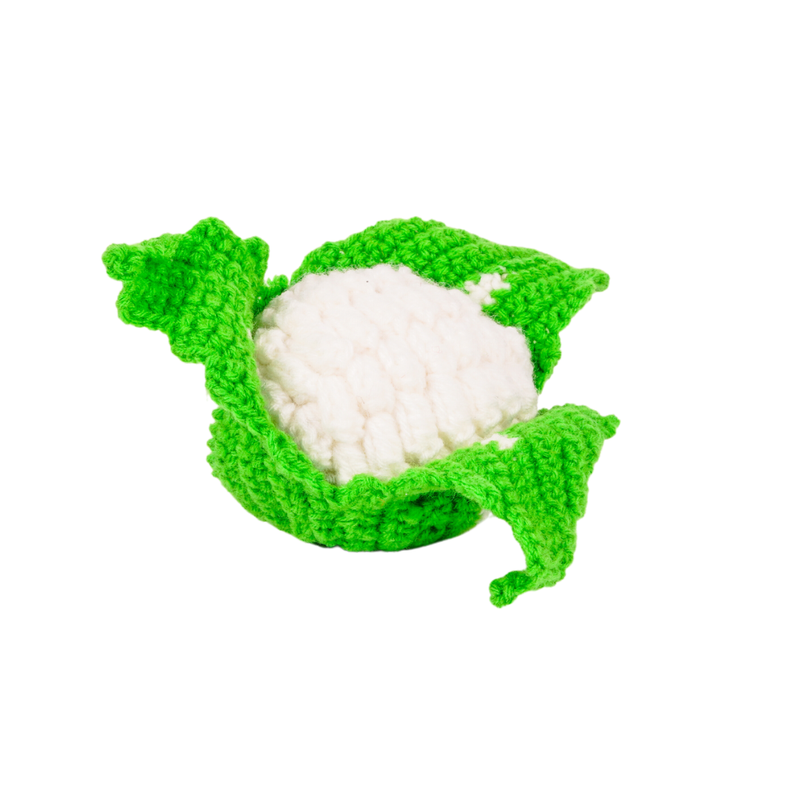 Set of 5 - Crochet Vegetable Toys (6 Months - 2 Years)