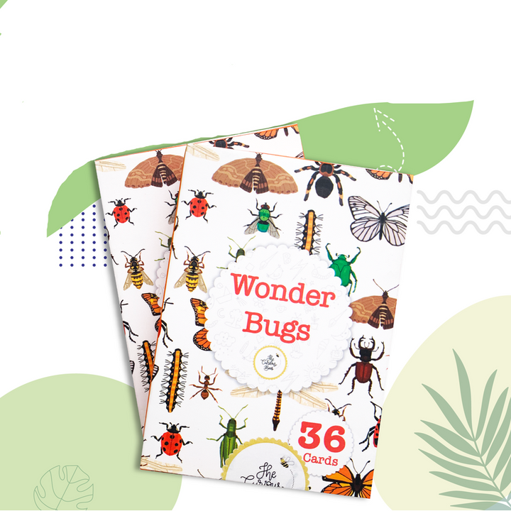 Wonder Bugs Flash Cards for Kids