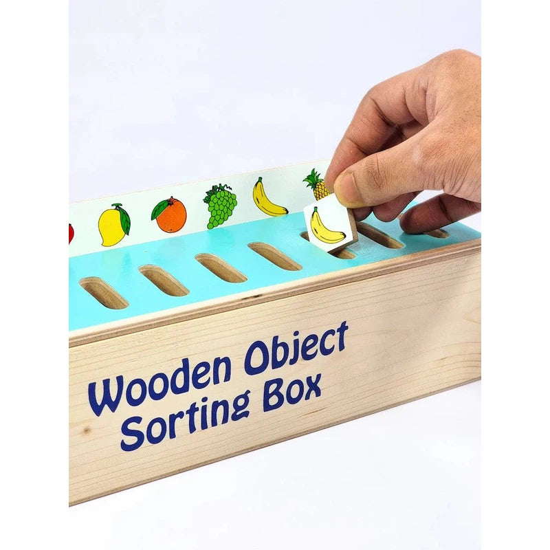 Buy Multiple Theme Sorting Box - Educational Wooden Toy (2-5 Years) on ...