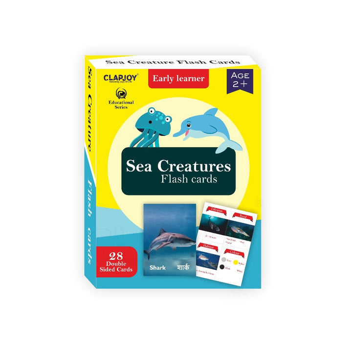 Sea Creatures Double Sided Flash Cards