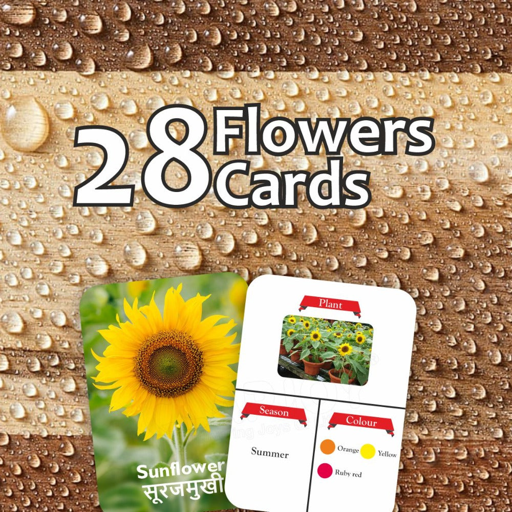 Flowers Double Sided Flash Cards