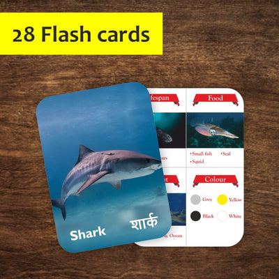 Sea Creatures Double Sided Flash Cards