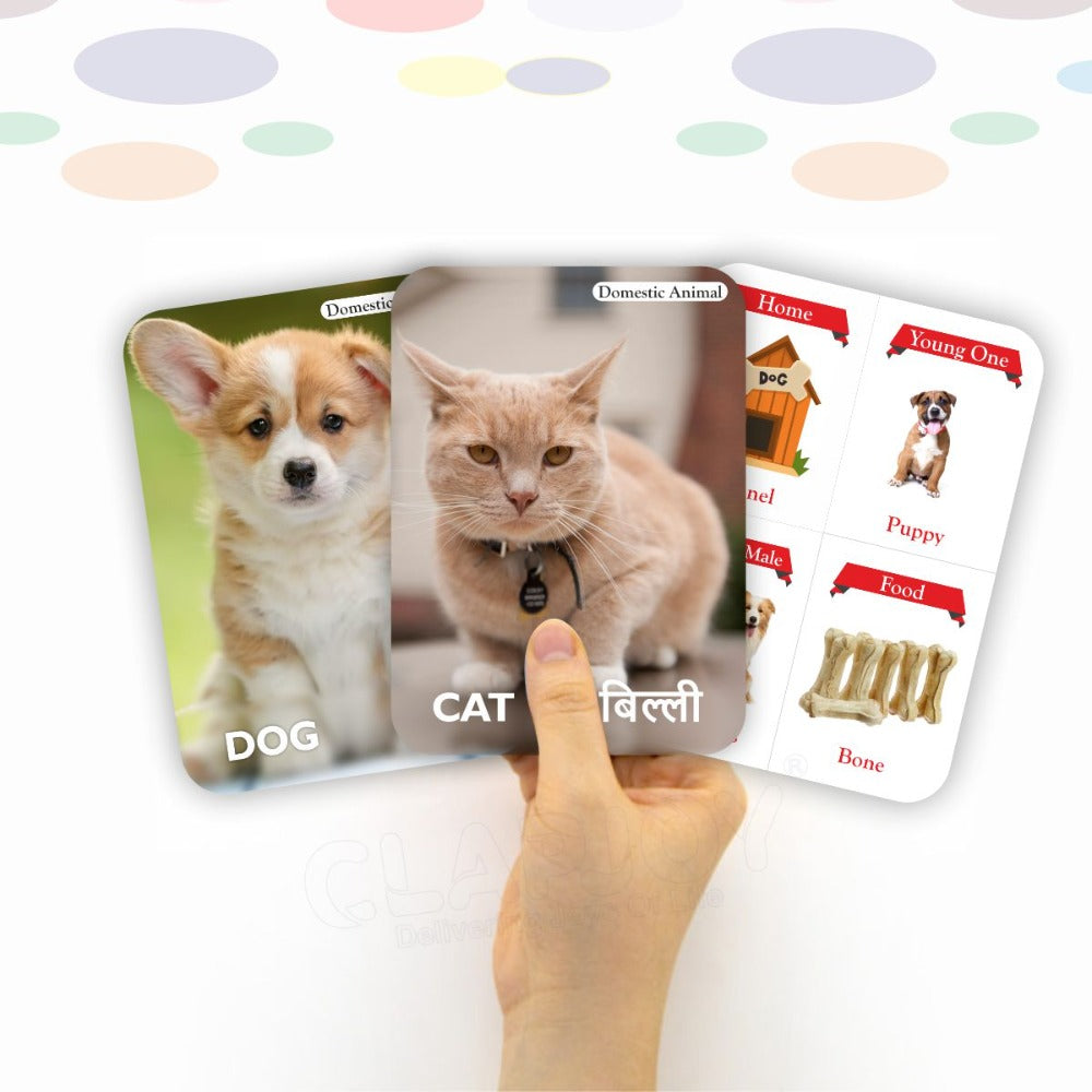 Animals Double Sided Flash Cards