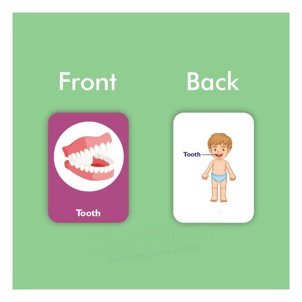Body Parts Double Sided Flash Cards