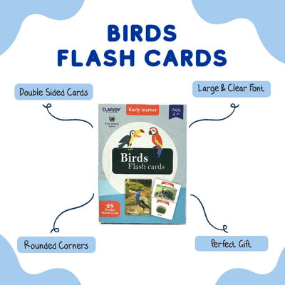 Birds Double Sided Flash Cards