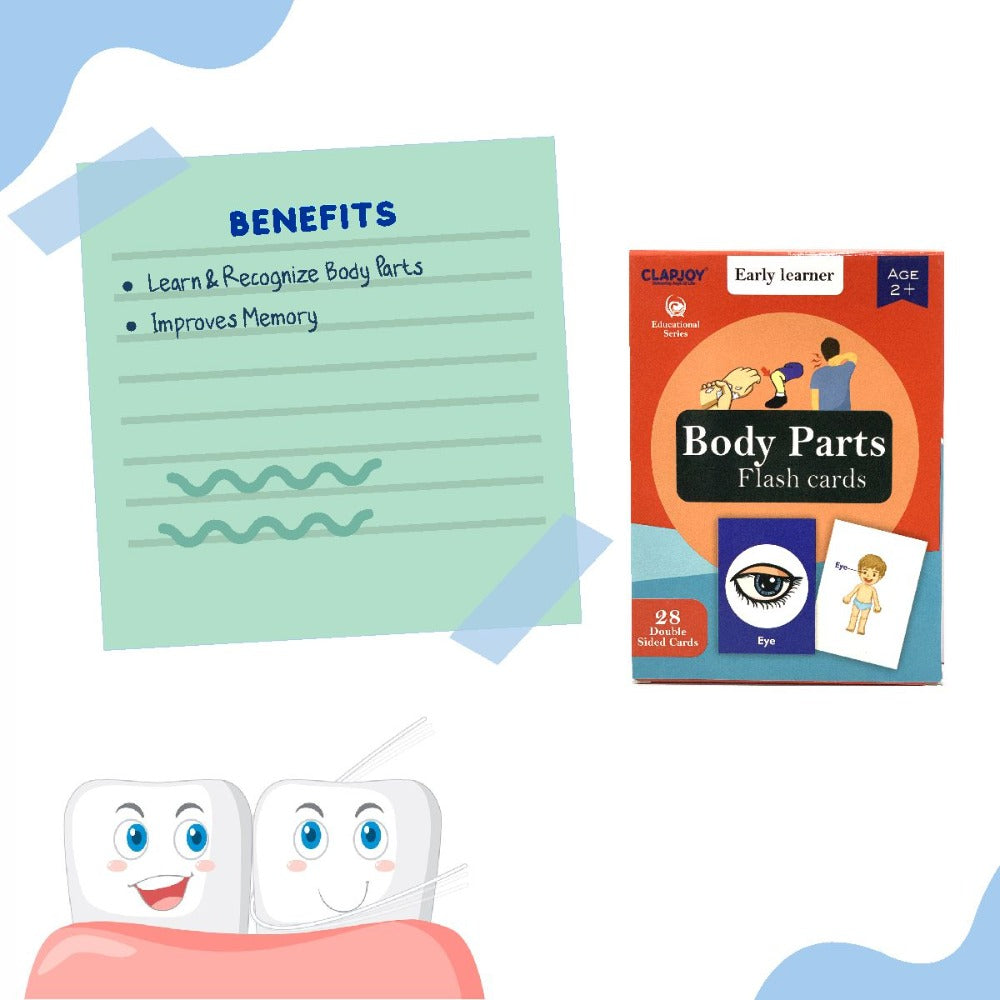 Body Parts Double Sided Flash Cards