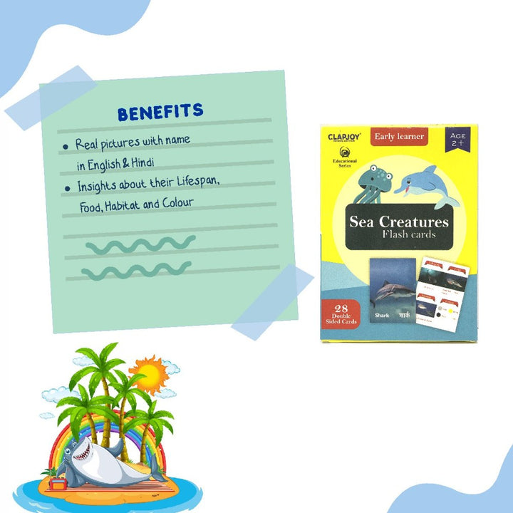 Sea Creatures Double Sided Flash Cards