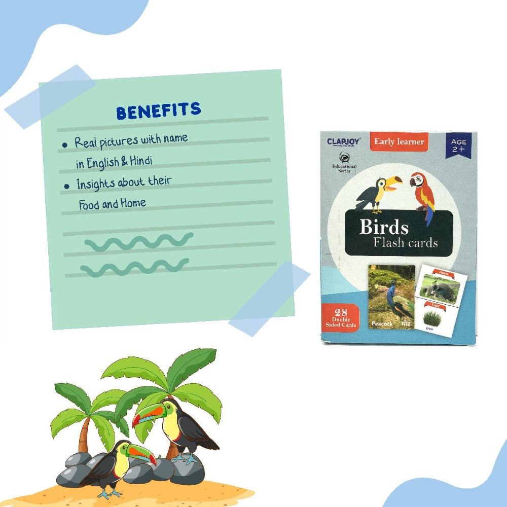 Birds Double Sided Flash Cards