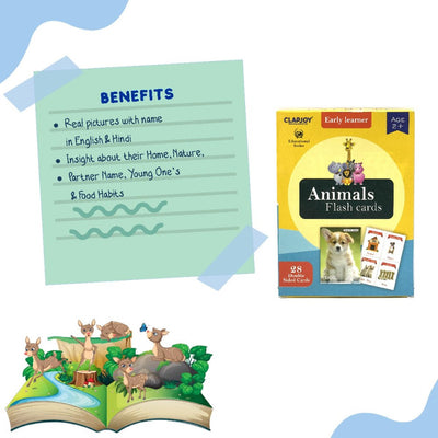 Animals Double Sided Flash Cards