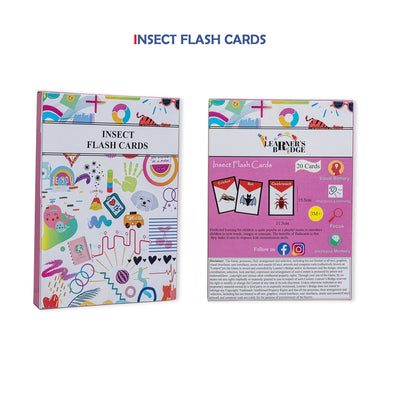 Insect - Flashcard