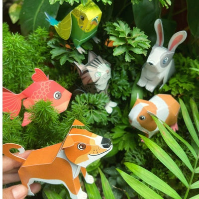 Box Set  of 6 DIY Mini Pet Animals Paper Craft Kits