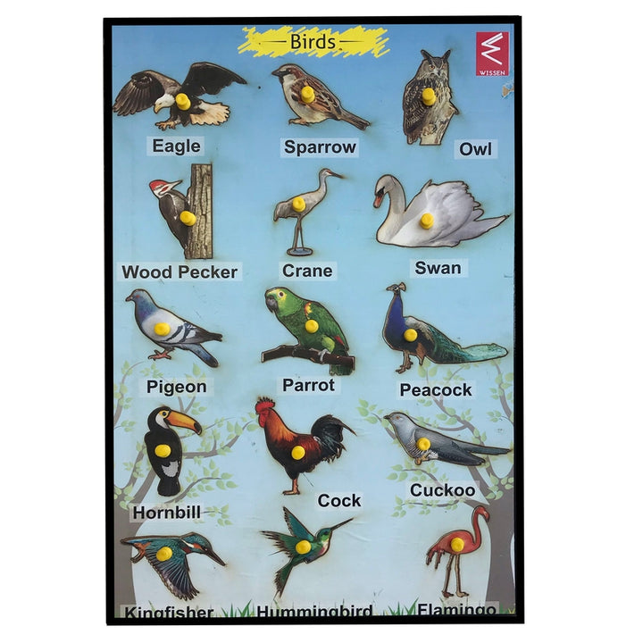 Wooden Birds Learning Educational Knob tray