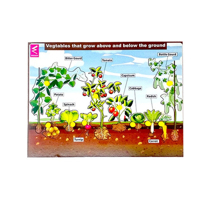 Vegetables Block Puzzle - (10 Pieces Vegetables that grow above and below the ground)