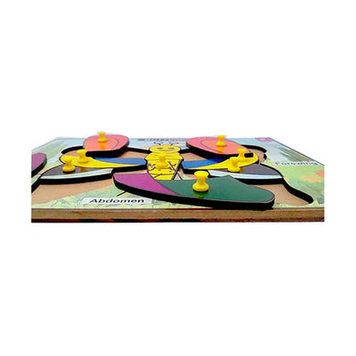 Butterfly Puzzle (8 Pieces)