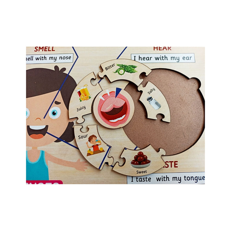 Five Senses Learning Puzzle