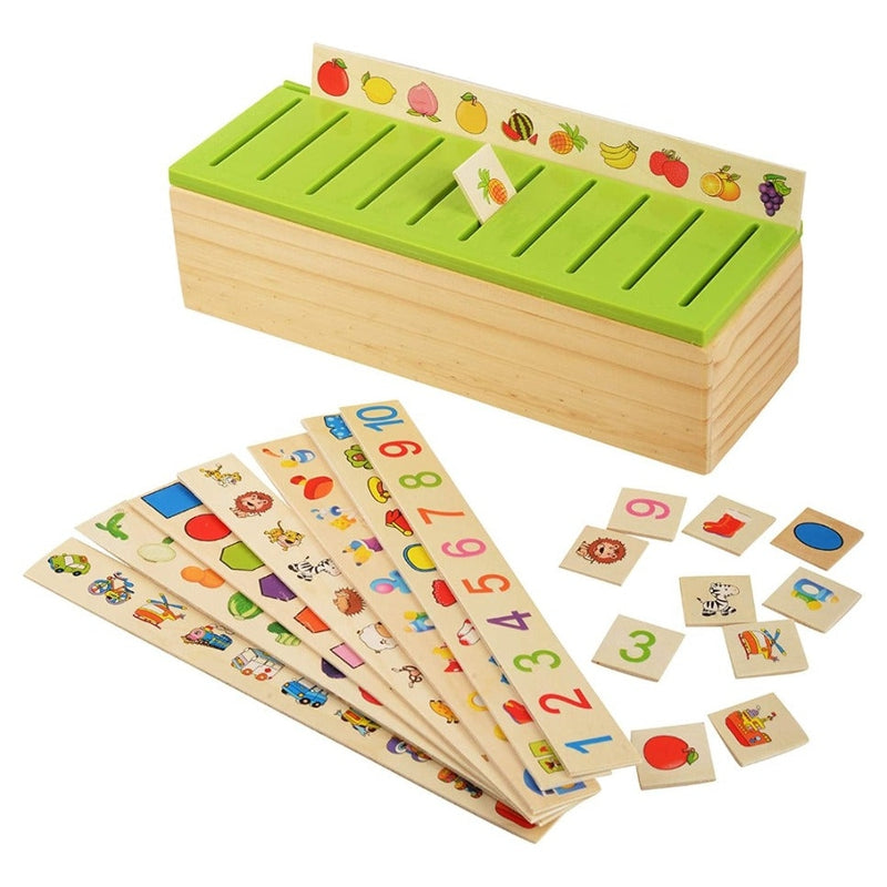 Knowledge Classification Box (Numbers, Shapes, Vehicles, Vegetables, Animals and Fruits)