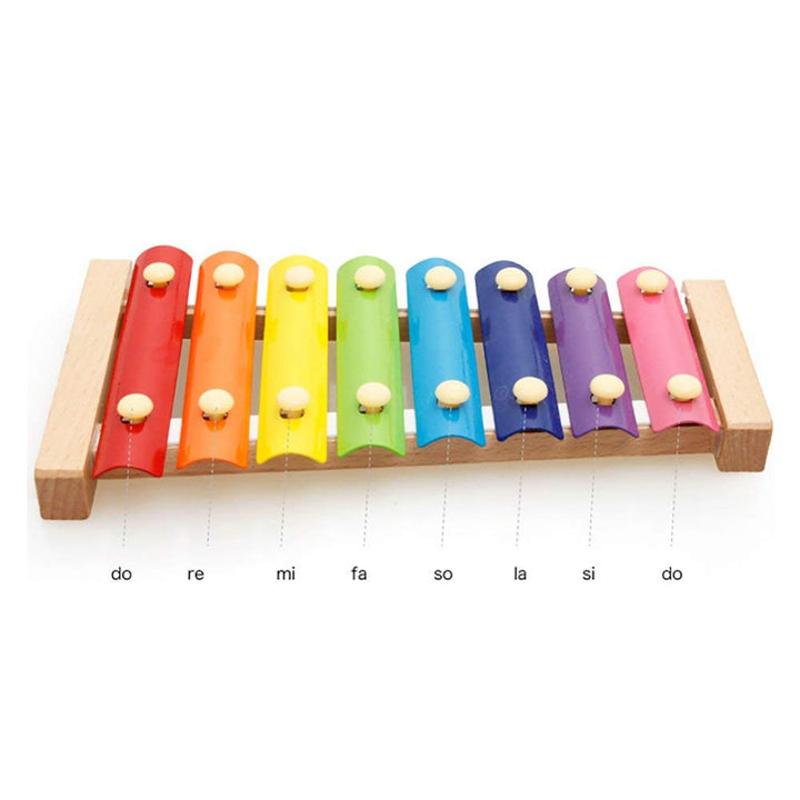 Calculation Shelf + Xylophone Musical Toy (Combo) for Children