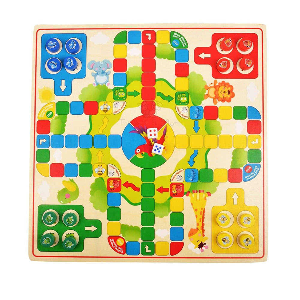 2 in 1 Chinese Checker Board & Ludo and Mikado Sticks Game (Combo)