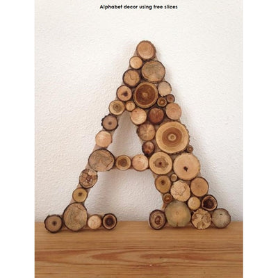 Wooden Tree slices ( Tree Stems 0.5 to 2 inch Diameter) 50 Pieces