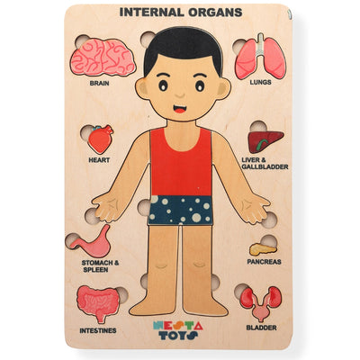 Human Body | Internal Organs Wooden Puzzle