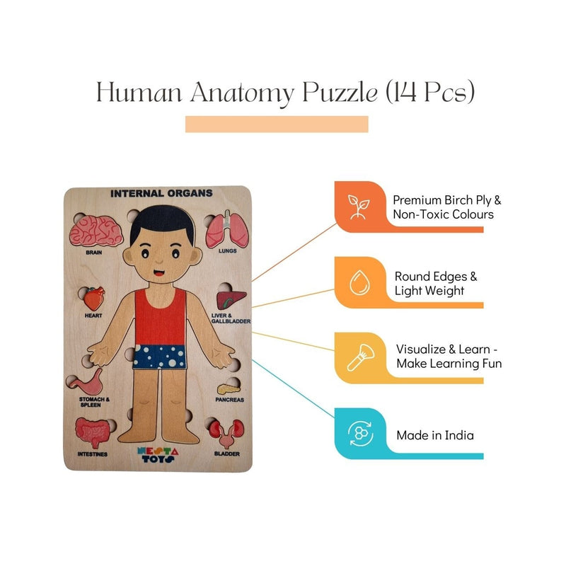 Human Body | Internal Organs Wooden Puzzle