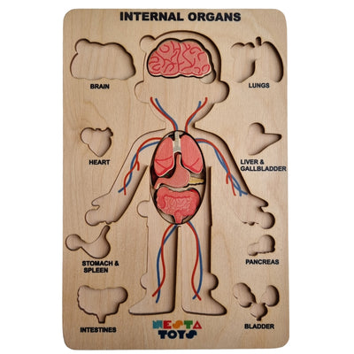 Human Body | Internal Organs Wooden Puzzle