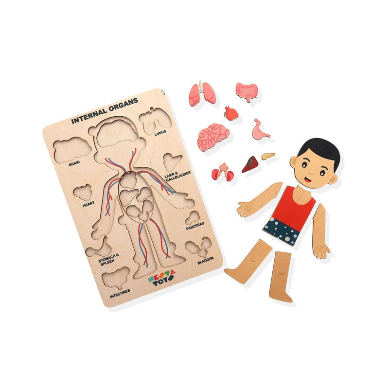 Human Body | Internal Organs Wooden Puzzle