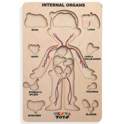 Human Body | Internal Organs Wooden Puzzle