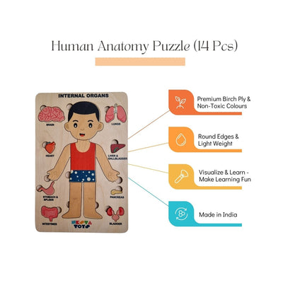 Human Body | Internal Organs Wooden Puzzle