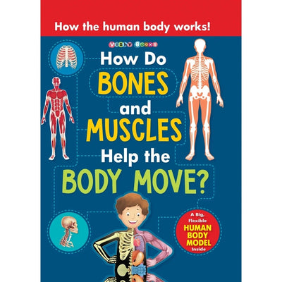 How do Bones and Muscles Help the Body Move?
