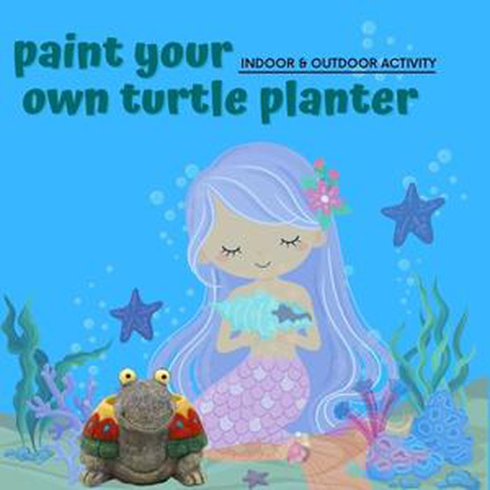 DIY - Turtle Painting Art & Craft Activity Kit