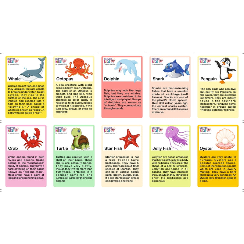 8 in 1 Flash Cards (Educational Flash Cards)