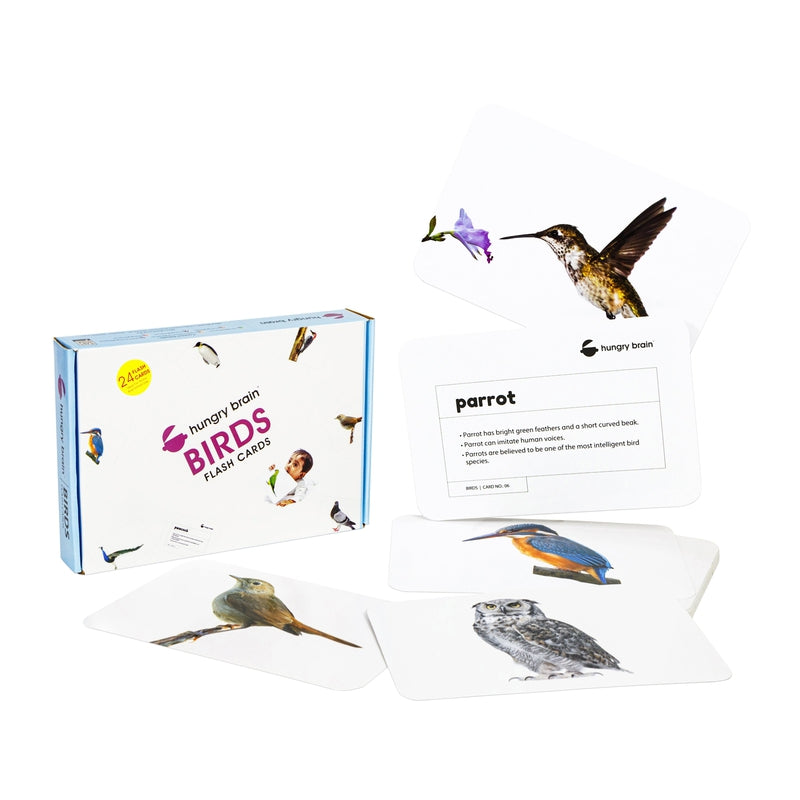 Educational - Birds Flash Cards for Kids Early Learning