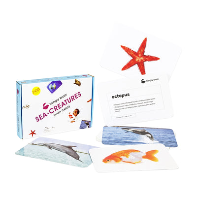 Sea Creature Education Flash Card for Kids