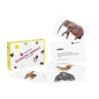 Educational Domestic Animals Flash Cards for Kids Early Learning