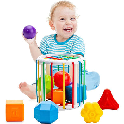 Shape Sorting Montessori Learning Educational Toy