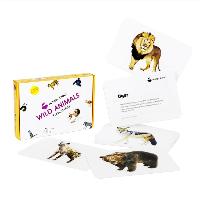 Educational Wild Animals Flash Cards for Kids Early Learning