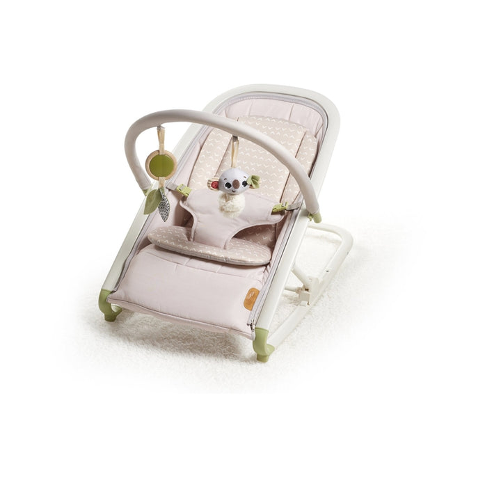 2-in-1 Rocker (Baby Bouncer)