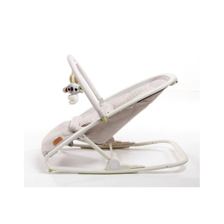 2-in-1 Rocker (Baby Bouncer)