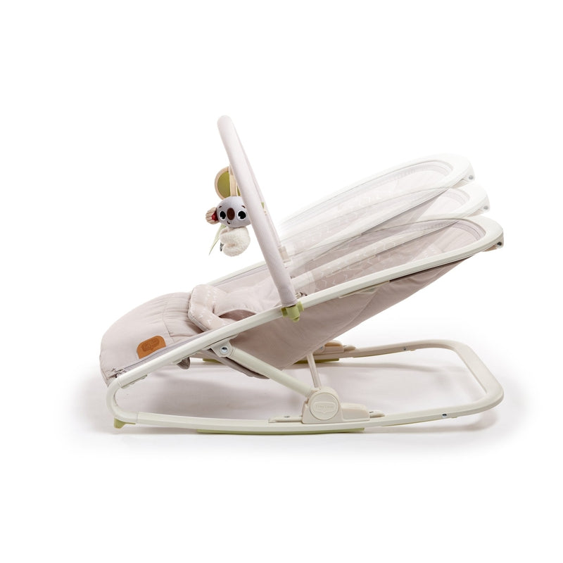 2-in-1 Rocker (Baby Bouncer)