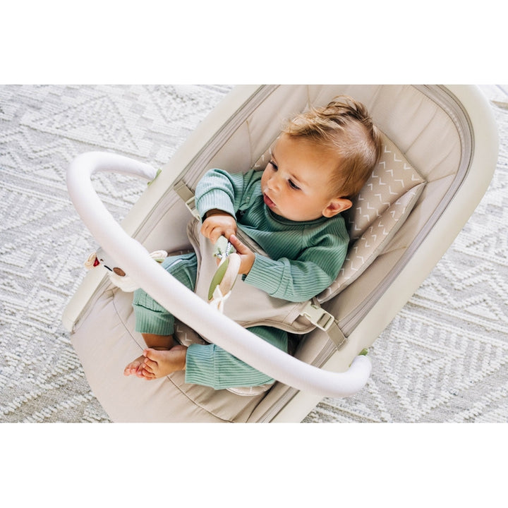 2-in-1 Rocker (Baby Bouncer)