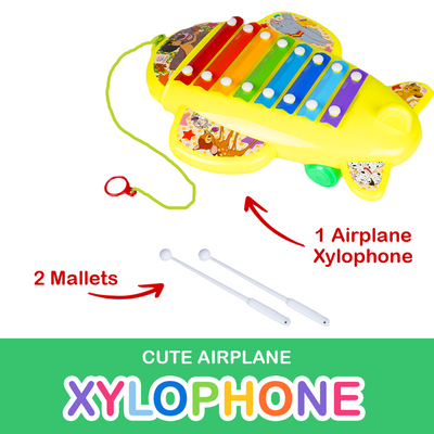 Disney Baby Classics Cute Airplane Pull Along Xylophone for Infants