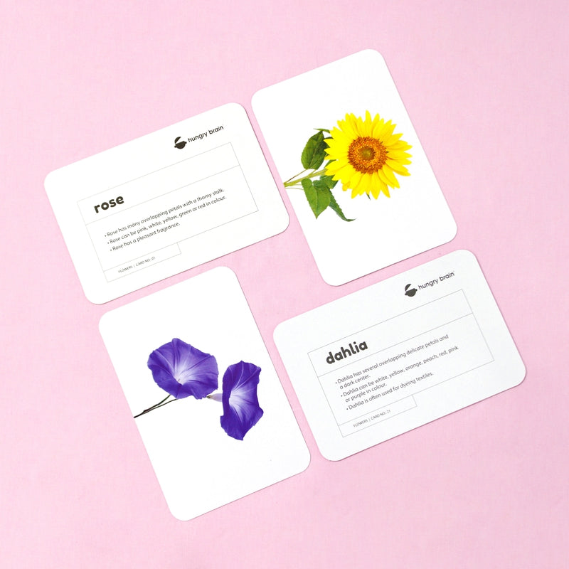 Educational - Flowers Flash Cards for Kids Early Learning