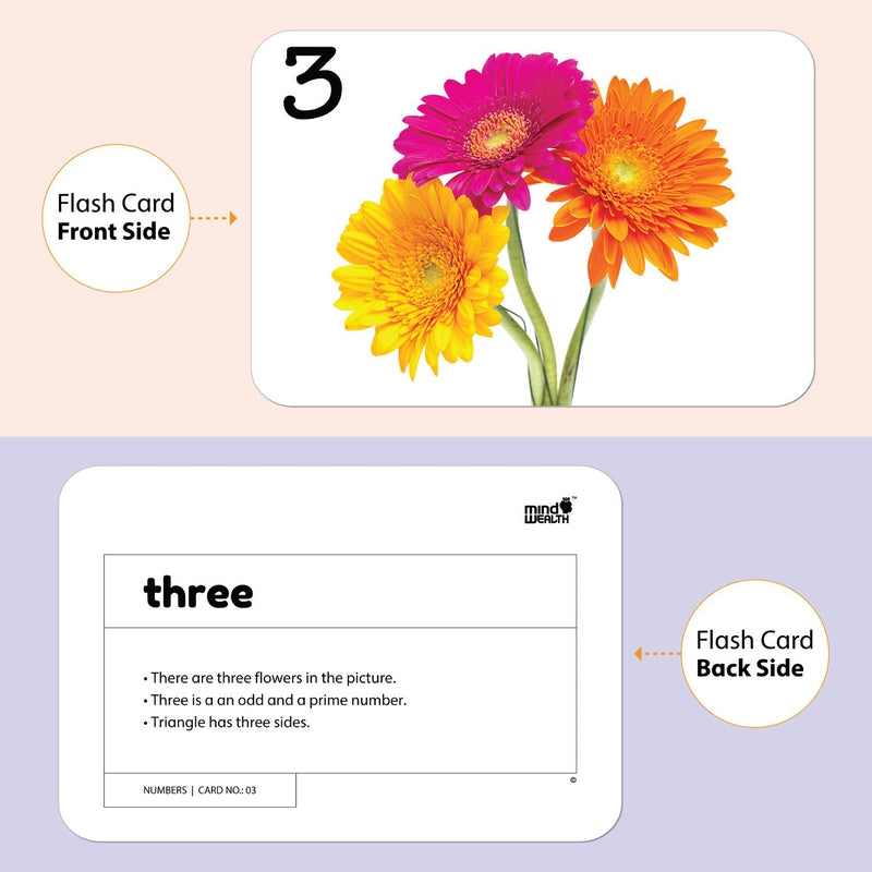 Numbers Education Flash Card for Kids