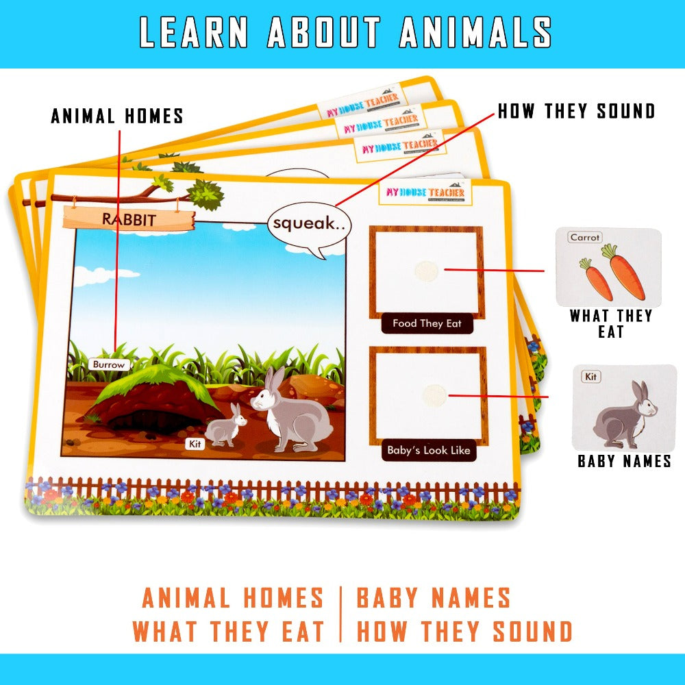 Animal Bundle - All about 18 animal homes, baby names, what they eat and how they sound